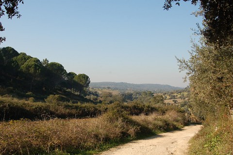 Rota dos Ferreiros