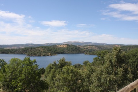 Trilho Quercus