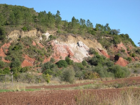 Vale Fuzeiros