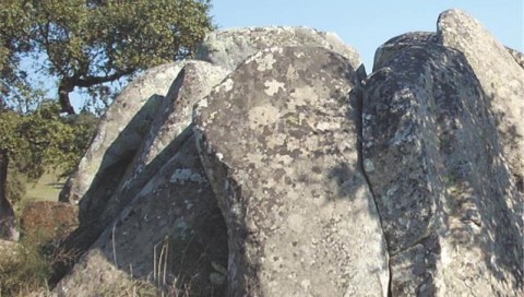 Percurso das Antas