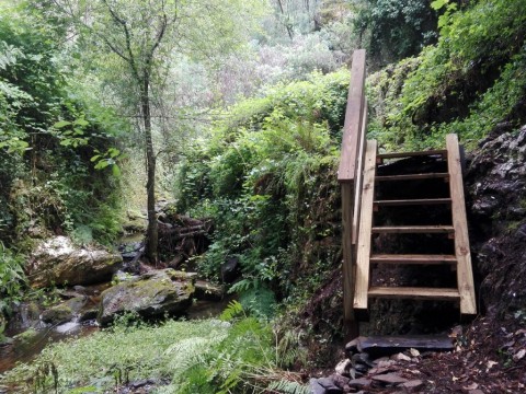 Ribeira de Arcos